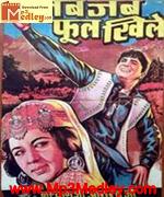 Jab Jab Phool Khile 1965 Song Download